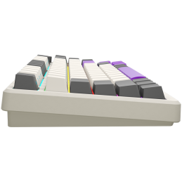 LORGAR Klawiatura Gamingowa Bezprzewodowa, 75% mechaniczna, Beżowa, układ EN